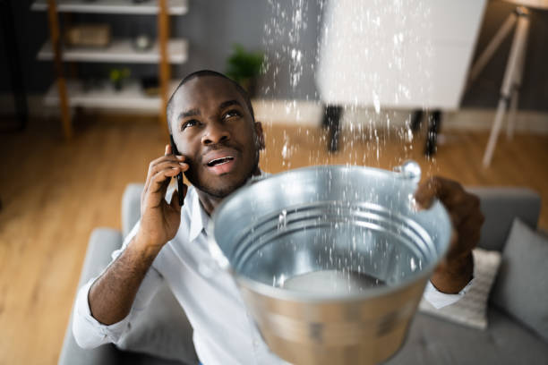 Best Local water damage restoration  in Sweet Home, AR