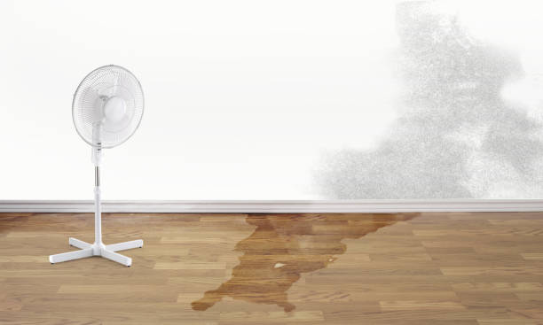 Best Water damage cleanup near me  in Sweet Home, AR