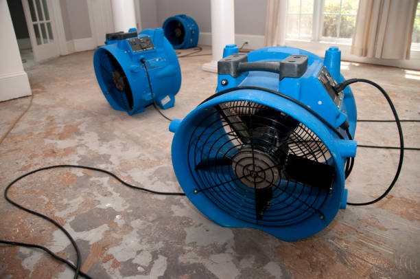 Best Water damage restoration near me  in Sweet Home, AR