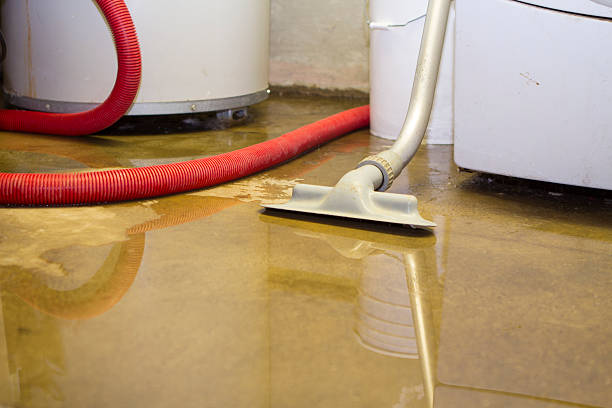 Best Water damage contractors near me  in Sweet Home, AR