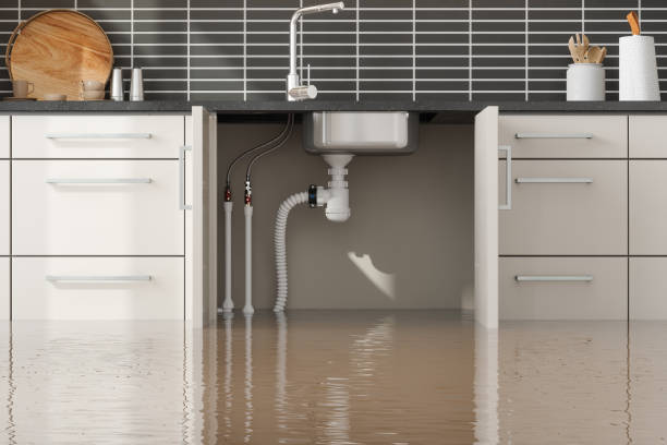 Best 24/7 water damage repair  in Sweet Home, AR