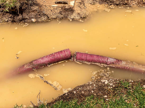Best Mold removal after water damage  in Sweet Home, AR