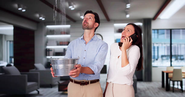 Best Sewage cleanup and water damage restoration  in Sweet Home, AR